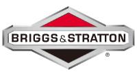 Briggs Stratton